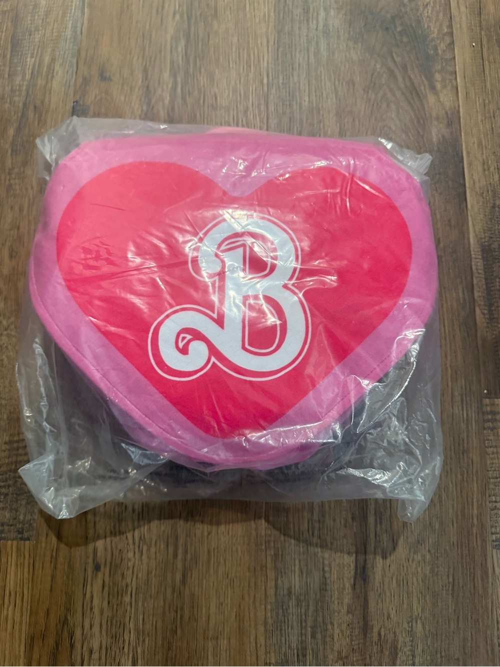 Pink Heart Barbie Throw blanket with carryon straps to be used as a purse